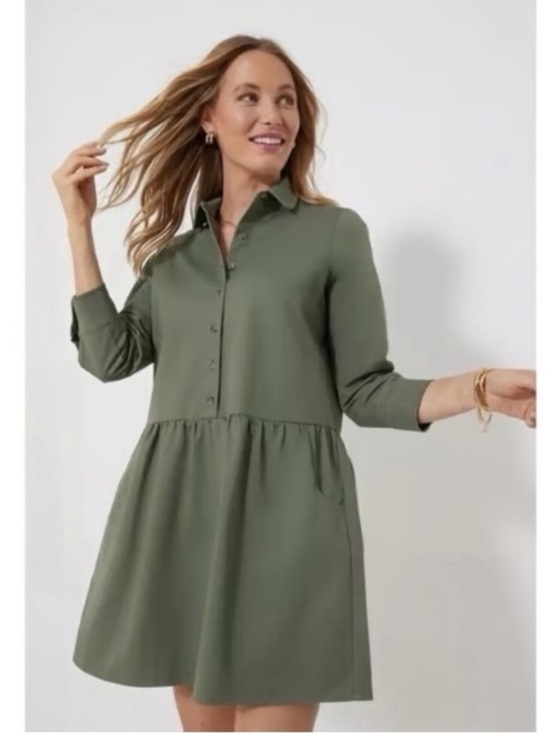 Tuckernuck Dresses & Skirts - Tuckernuck Olive Collared Button Mini Dress